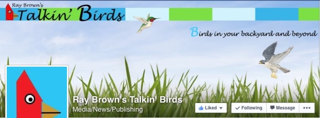 RayBrown'sTalkin'Birdsscreenshot